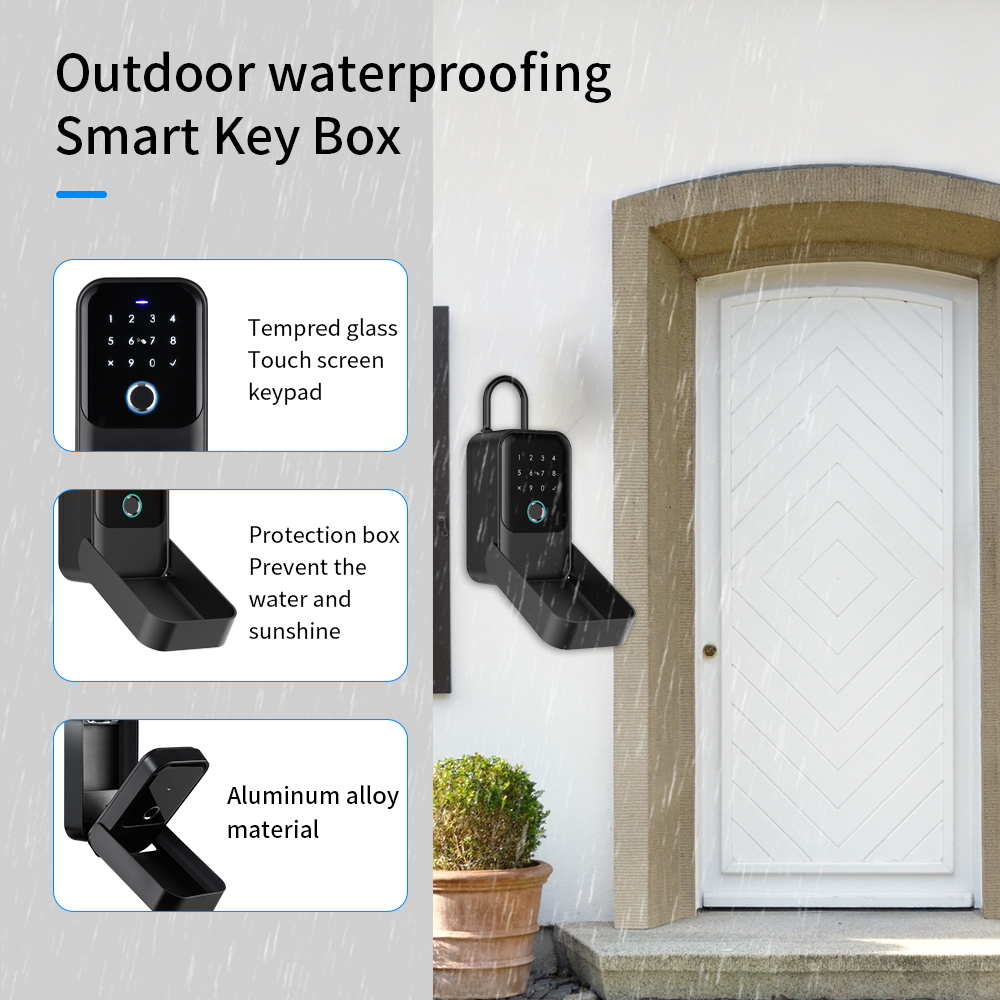 Tuya Smart Life App or TTLock  - Lockbox Key Secure review and price