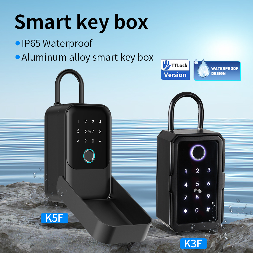 Tuya Smart Life App or TTLock  - Lockbox Key Secure review and price