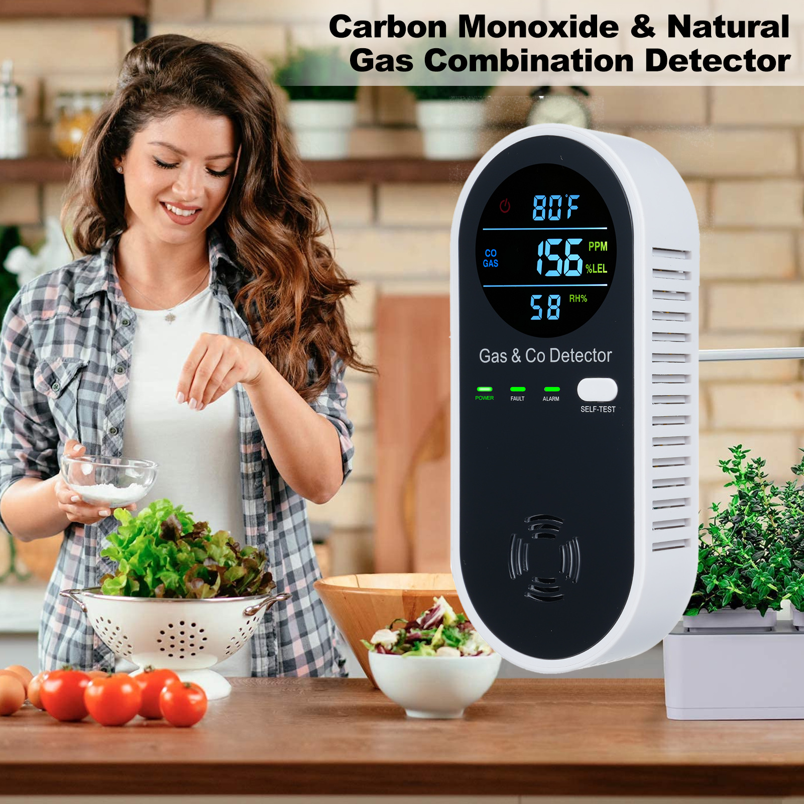 4 in 1 CO Monitor Alarm with L - Co Detector Plug review and price