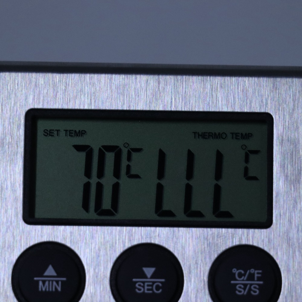 Silver Digital BBQ Meat Thermo - Pool Alarm Float review and price