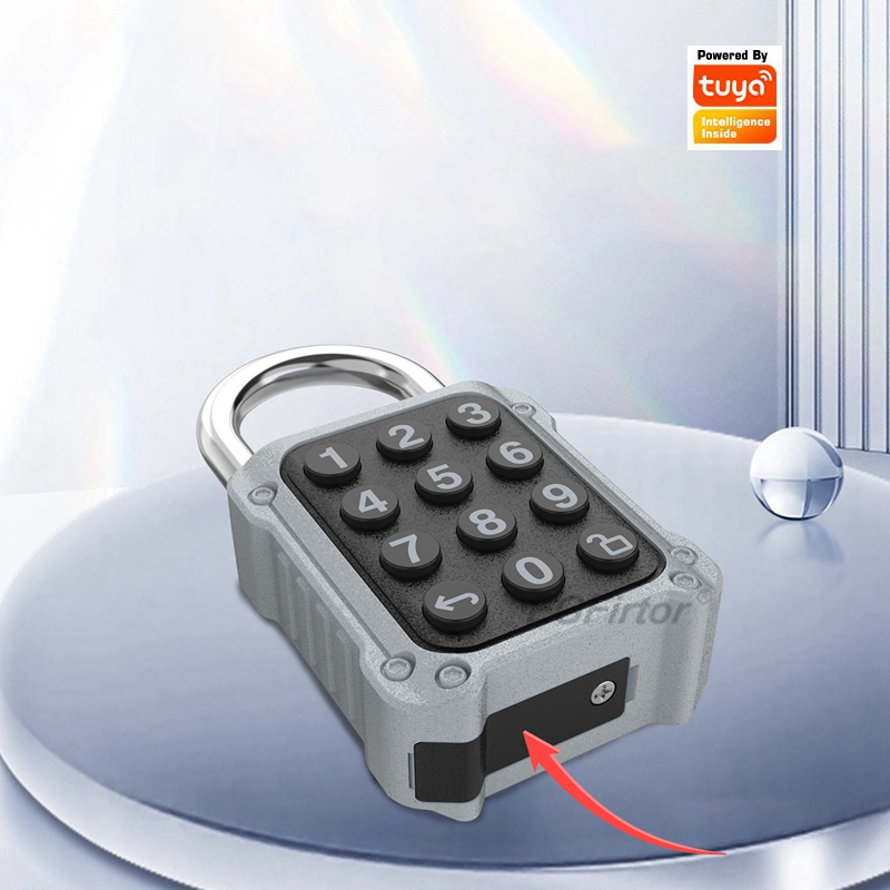 EGFirtor Tuya APP Electronic S - Lockbox Key Secure review and price