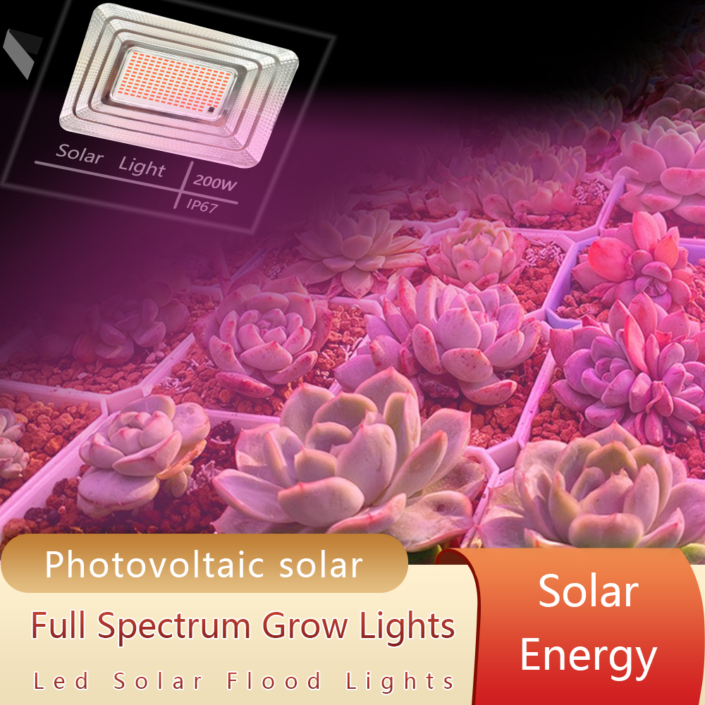 LED Full Spectrum Phyto Lamp 2 - Power Outage Light review and price