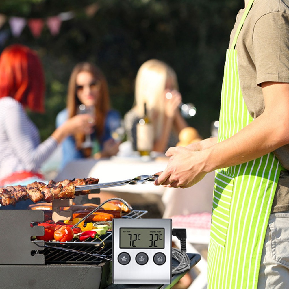 Silver Digital BBQ Meat Thermo - Pool Alarm Float review and price