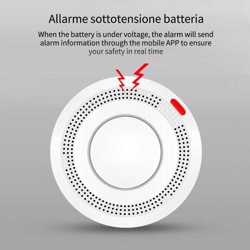 6Pack Tuya WiFi Smart Smoke Se - Smoke Detector Interconnected review and price