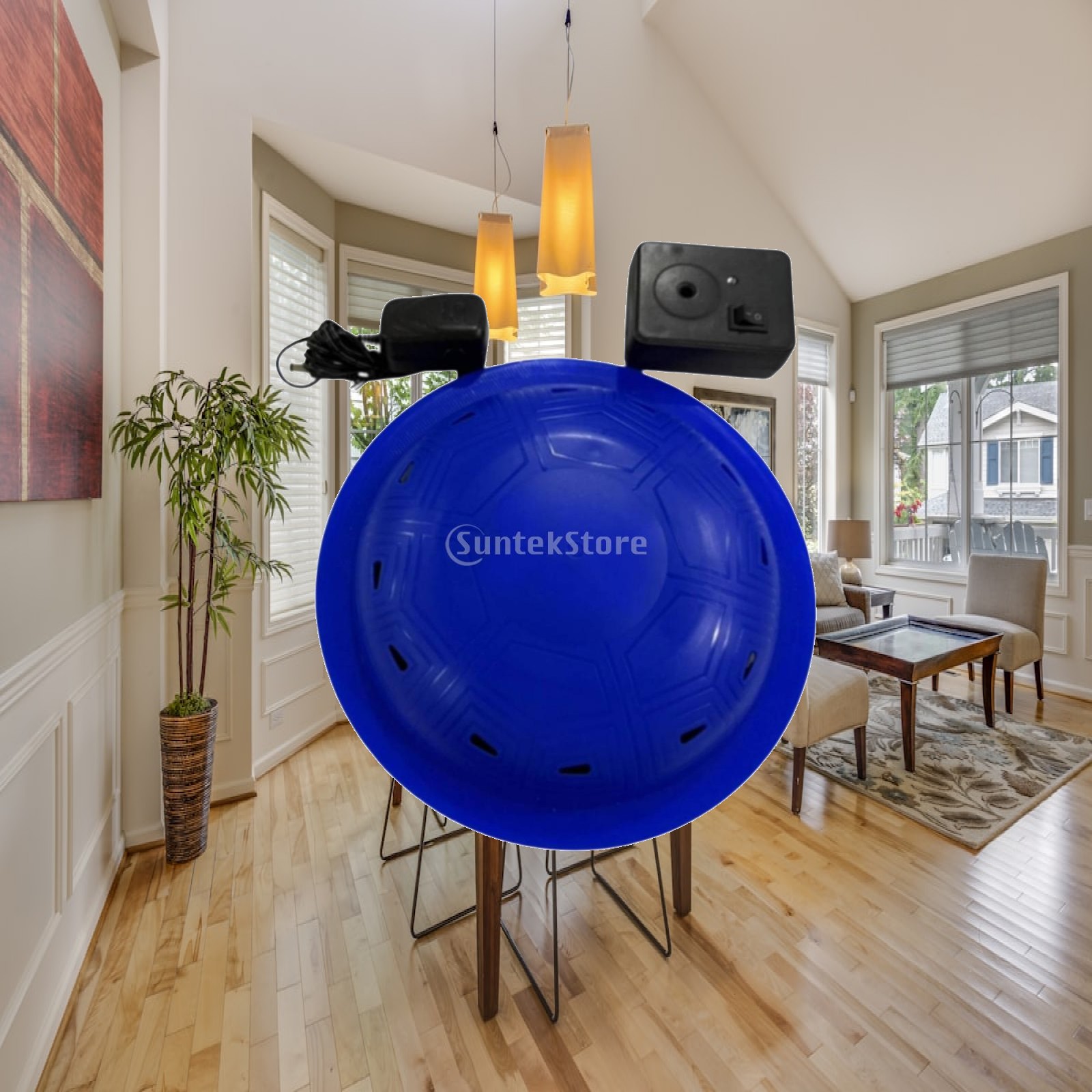 High Decibel Floating Pool Ala - Pool Alarm Float review and price